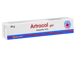 Artrocol 25 mg/g / 45 g gel