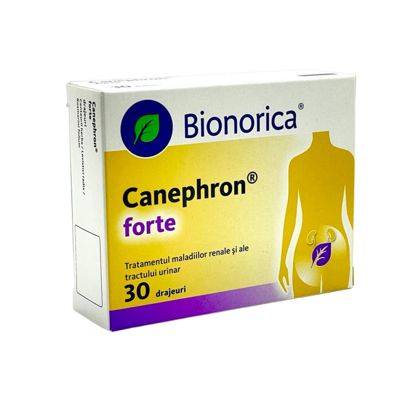 Canephronforte drajeuri