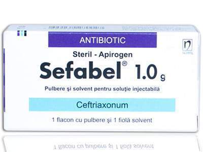 Sefabel 1 g / 3,5 ml pulbere şi solvent pentru soluţie injectabilă