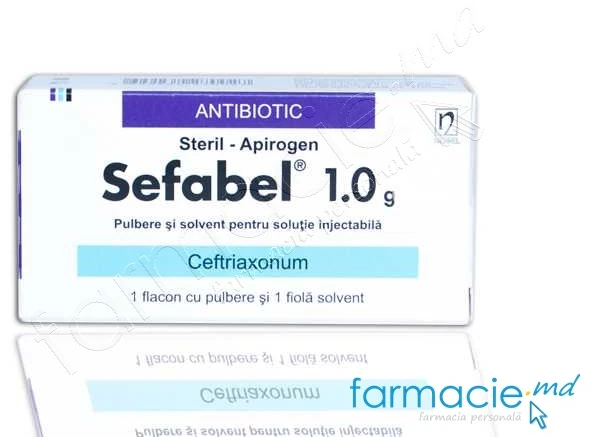 Sefabel 1 g / 3,5 ml pulbere şi solvent pentru soluţie injectabilă